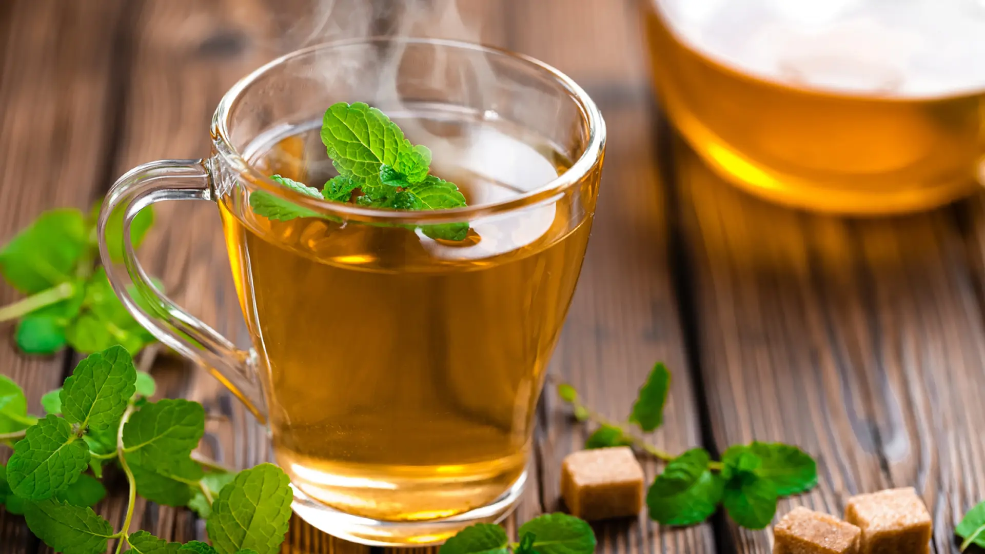 10 Hierbas Naturales para Acelerar la Pérdida de Peso