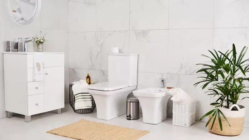 Soluciones Caseras para Eliminar el Mal Olor de Orina en el Baño