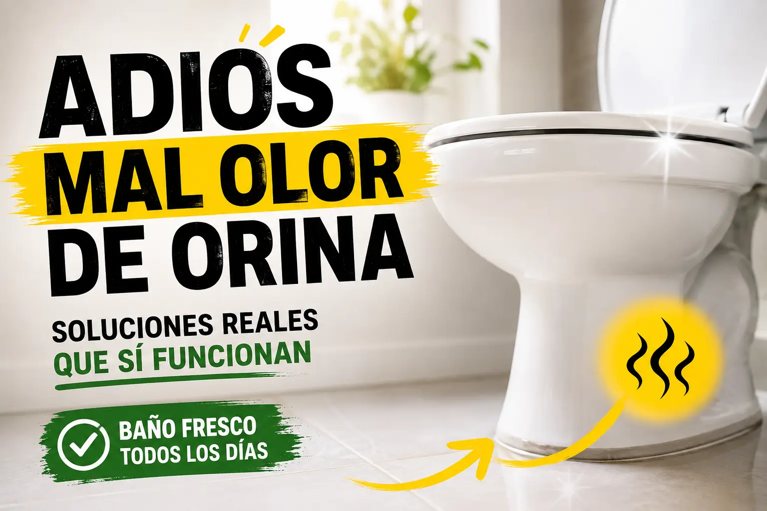 Cómo Eliminar el Mal Olor de Orina en el Baño